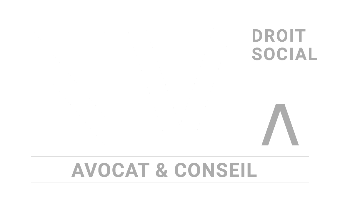 Nicolas Menard | Avocat & conseil - logo blanc - gris